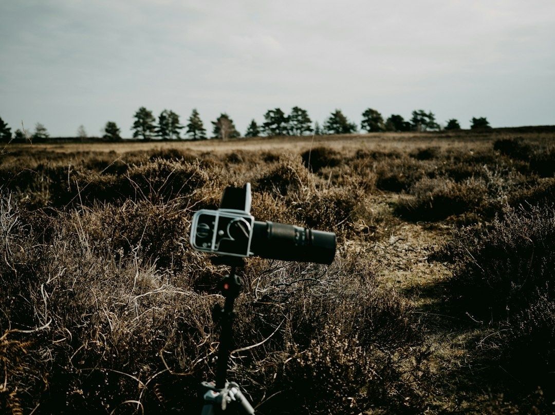 Directional microphone on a stand in a windswept heathland landscape